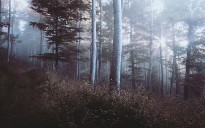 Beautifully Designed Single Blog Post Template #2 for Divi