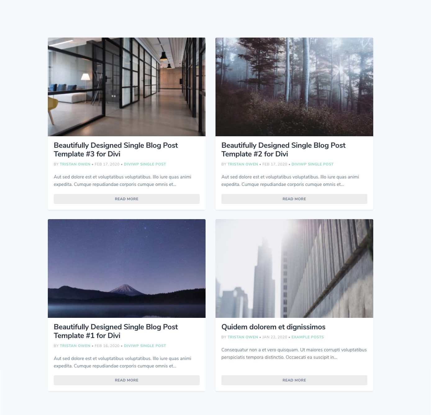 DiviWP Blog Sections