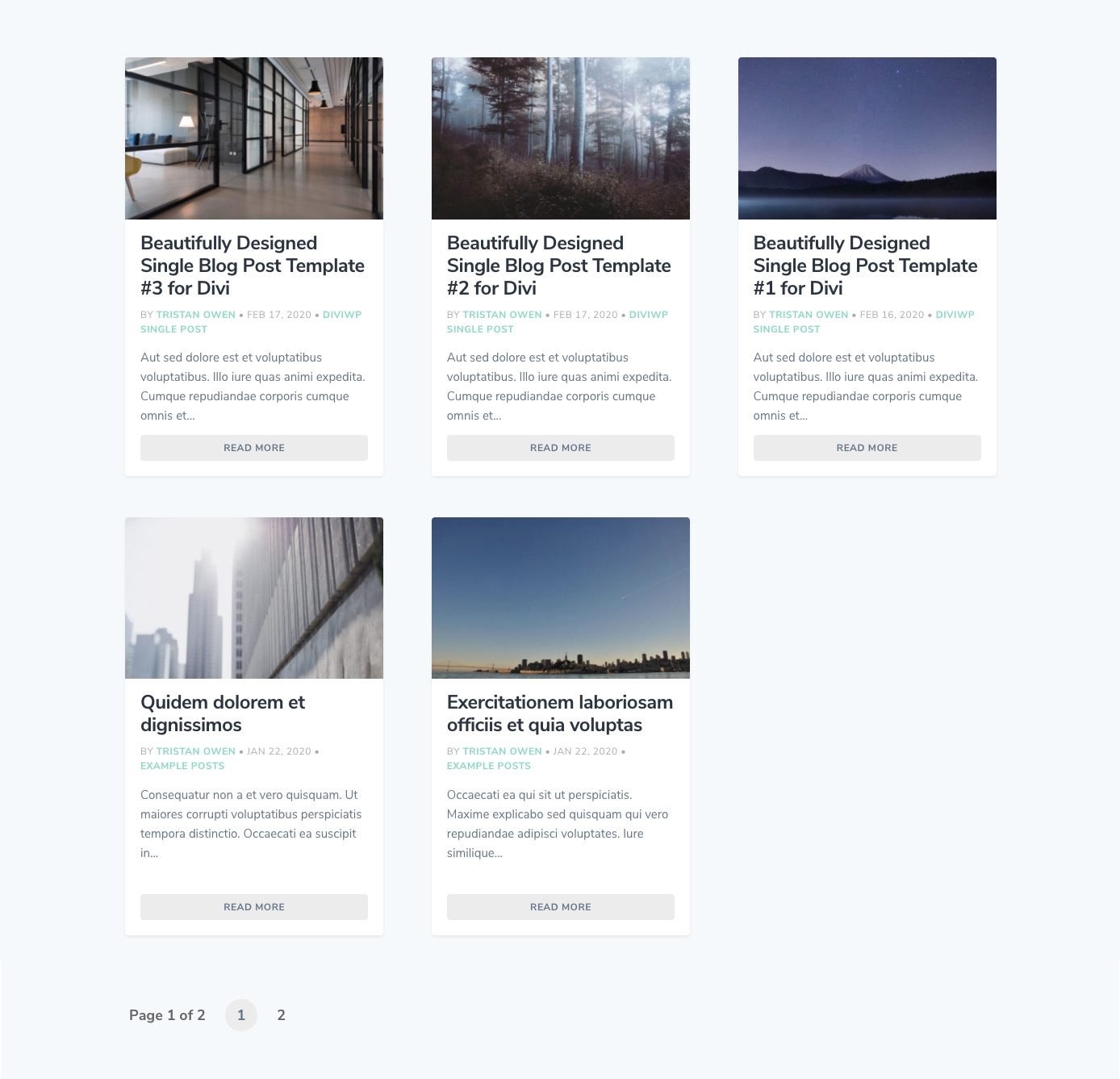 DiviWP Blog Sections
