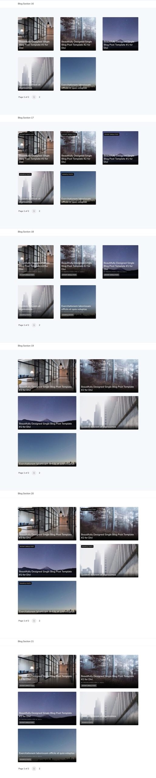 DiviWP Blog Sections