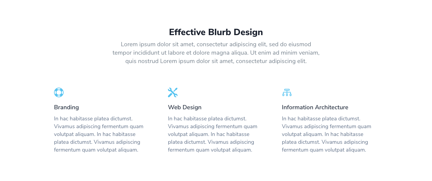 Blurb Section 1