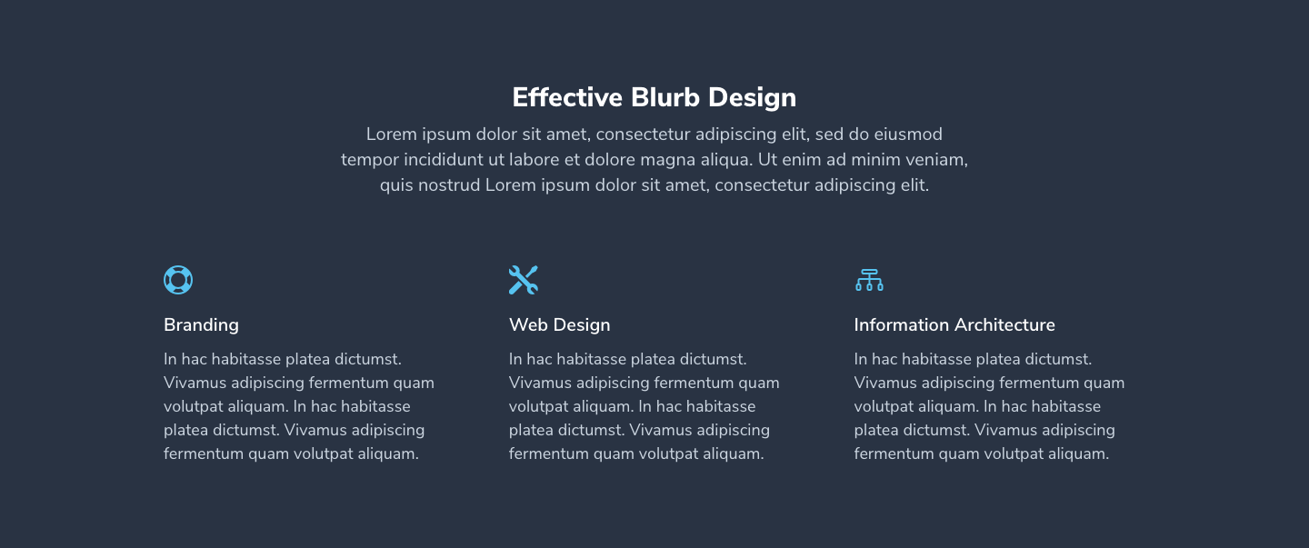 Blurb Section 2