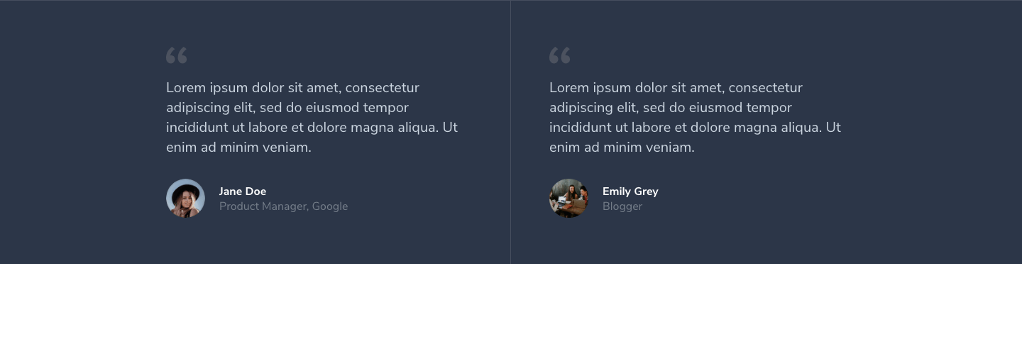 Testimonial Section 11