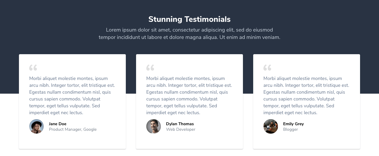 Testimonial Section 13