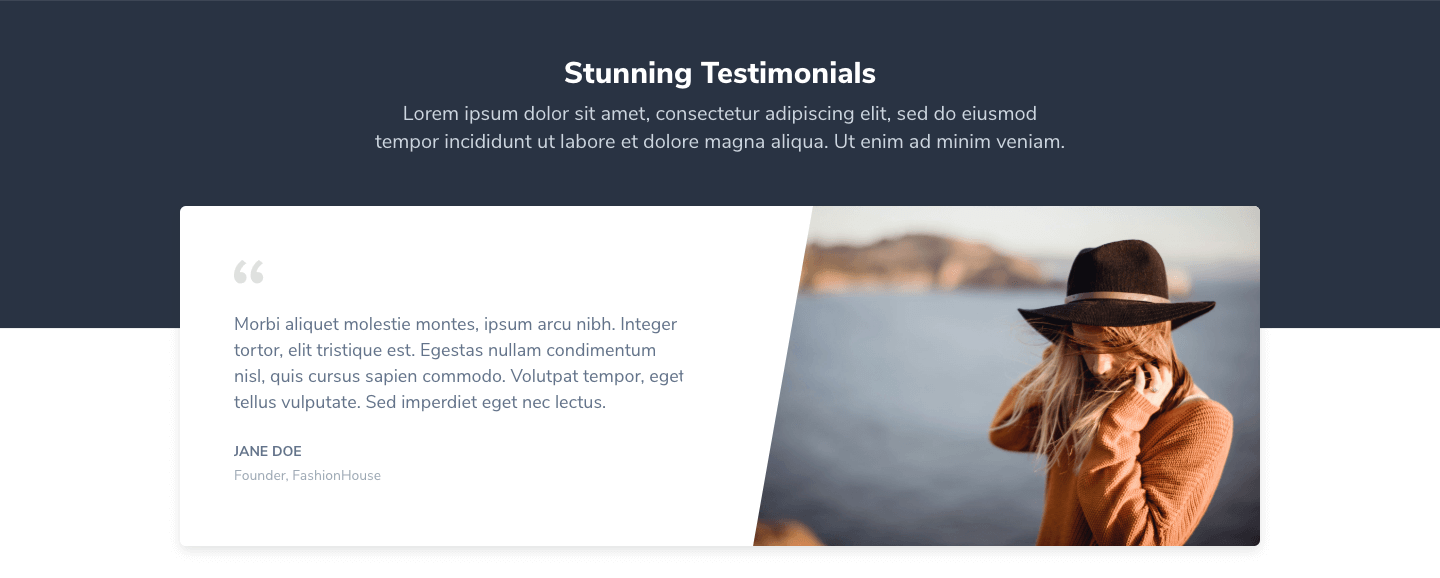 Testimonial Section 2