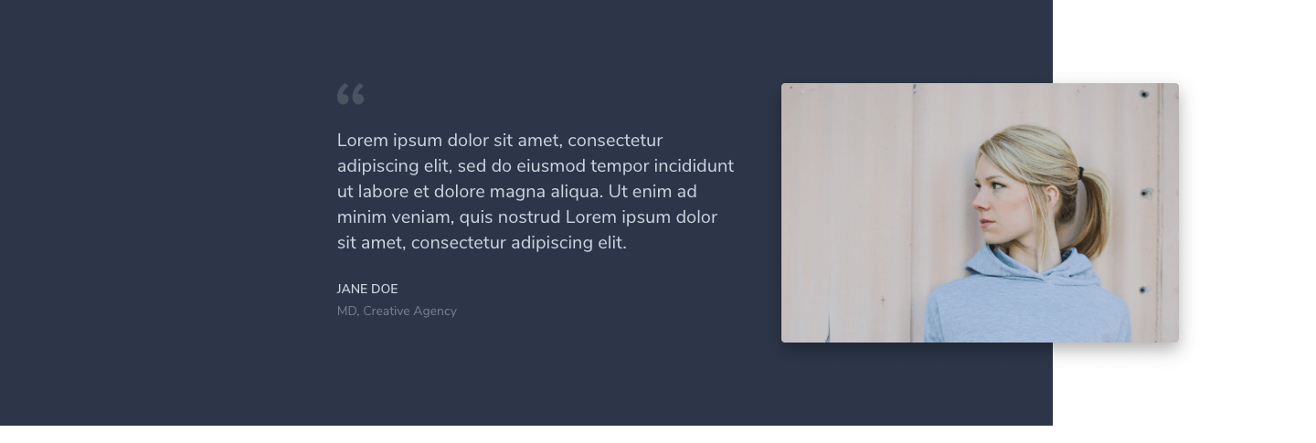 Testimonial Section 7