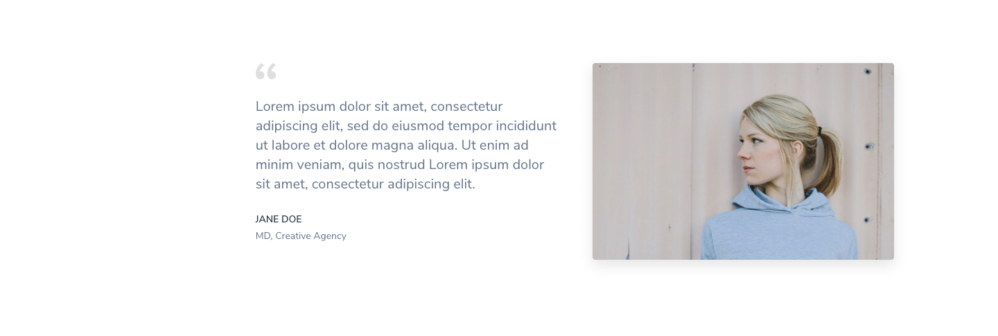Testimonial Section 8