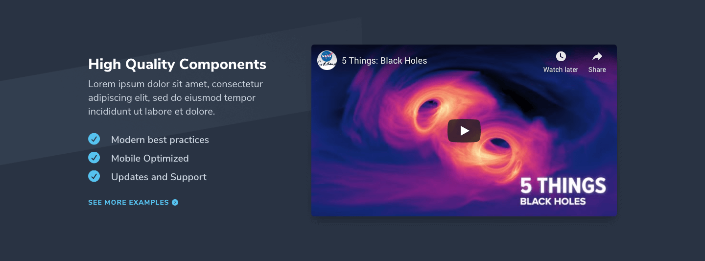 Video Section 10