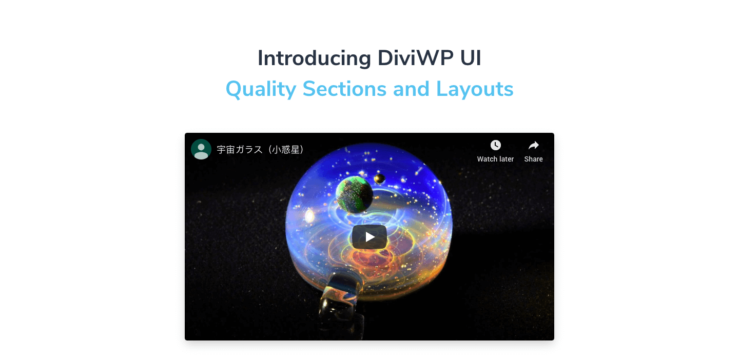 Video Section 4