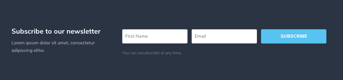Newsletter Section - Email Optin Module