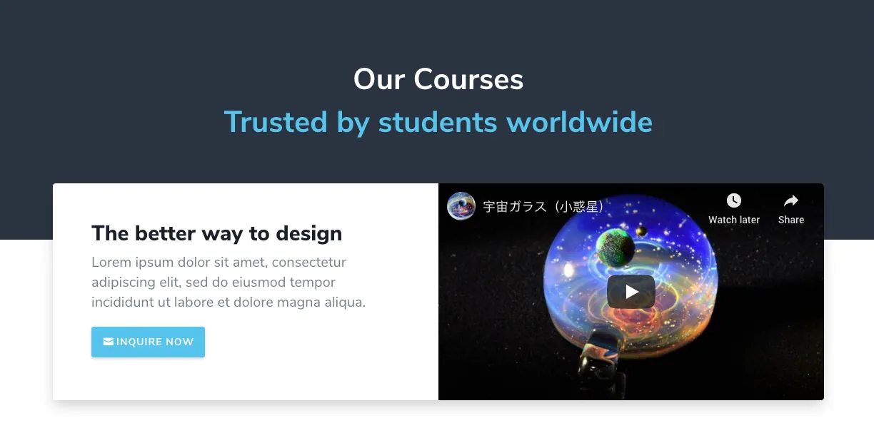 Hero Section 7 and 8 - Video Modules